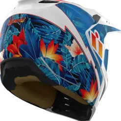 ICON Elsinore Kaonohi Helmet